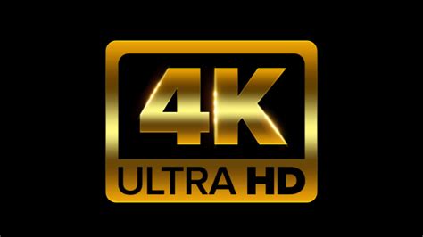 porn 4 k|4K Porn Ultra HD